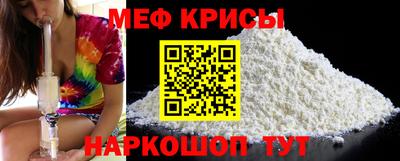 стафф Камышлов