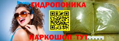стафф Камышлов