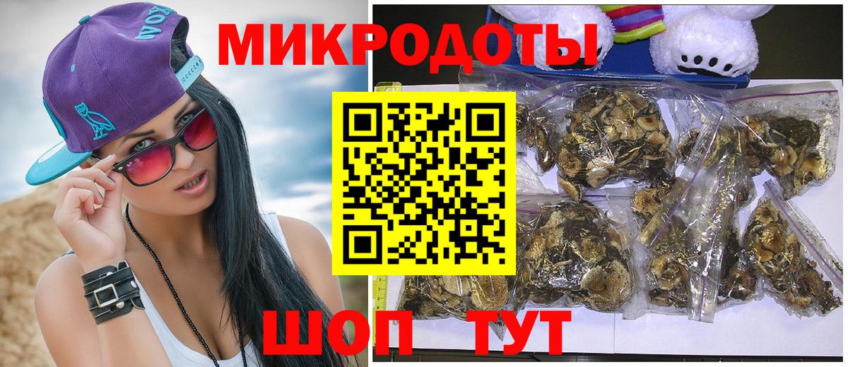 Георгиевск  Псилоцибиновые грибы ЛСД  Псилоцибиновые грибы ЛСД  Вход с VPN 