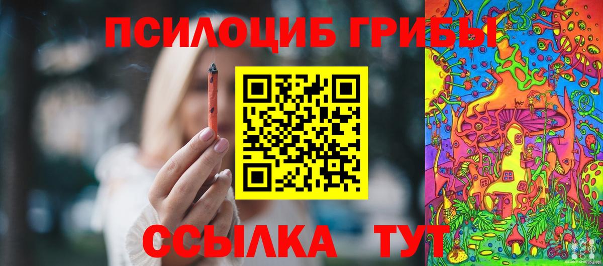 Псилоцибиновые грибы GOLDEN TEACHER Георгиевск